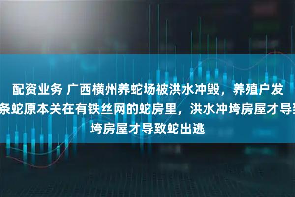 配资业务 广西横州养蛇场被洪水冲毁，养殖户发声：6万条蛇原本关在有铁丝网的蛇房里，洪水冲垮房屋才导致蛇出逃